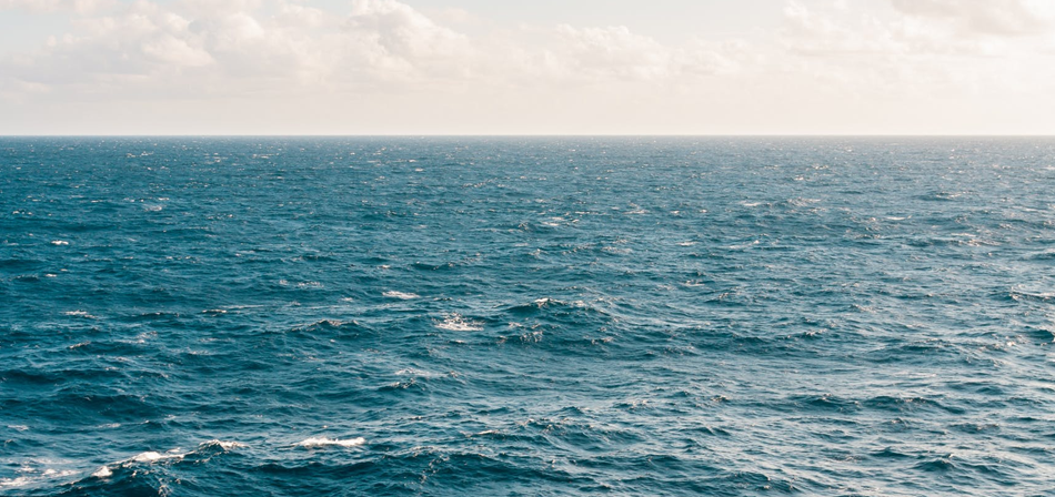 publicar imagen ¿Puede la IA ayudarnos a salvar el medio ambiente Del sueño de un estudiante universitario rumbo al rescate y limpieza del océano pacífico - La historia sobre Boyan Slat, el héroe de los océanos